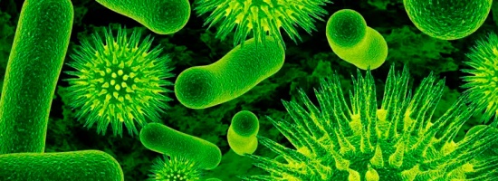 Предотвращение развития микробов и бактерий в трубопроводах