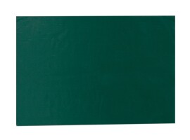 Tytan Professional RS TAPE Лента битумная для кровли 10 см x 10 м, зеленый мох