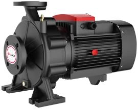 Консольно-моноблочный насос FANCY FST