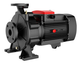 Консольно-моноблочный насос FANCY FW