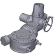 Ридан Электропривод AMB-M-45 + MY-6-1SD 220В с блоком управл.; IP67/IP65; для ШК RJIP DN600 станд.прох. или DN500 полн.прох.-1