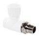 TEBO Вентиль PPRC для радиатора 25x3/4" прямой-0