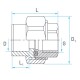 SLT AQUA Муфта комбинированная разъемная PP-R 32×3/4" ВР-1