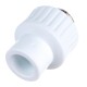 RTP Alpha Муфта комбинированная PP-R НР-4