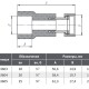 AQUALINK PP-R Муфта комбинированная с накидной гайкой-1