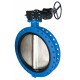 Tecofi Затвор дисковый Teclarge VPE 4508-08EP-0