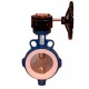 Tecofi Затвор дисковый Tecflon VP 4449-08PTFE с редуктором-0