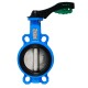 Tecofi Затвор дисковый TECFLY VPG 4449-02NI с рукояткой-0