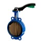 Tecofi Затвор дисковый TECFLY VPG 4449-02SI с рукояткой-1
