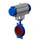 Tecofi Затвор дисковый TECFLY VPI 4448-N07EP-0