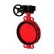 Tecofi Затвор дисковый Tecfly VPI 4448R2C-08EP PN16 DN 250-0