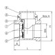 Tecofi Клапан обратный створчатый CB2143-1