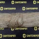 Лен сантехнический Сантехкреп-5