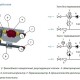 Узел теплоснабжения с 3-ходовыми клапанами и манометром Ридан АУУ-Т/M-2