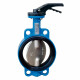 Tecofi Затвор дисковый Tecfly VP3448-02 DN 65-0